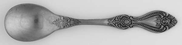 SRB269 (Stainless) Sugar Spoon
