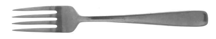 UNF16 (Stainless) Fork