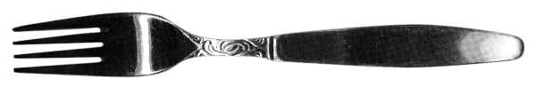 UNF172 (Stainless) Fork