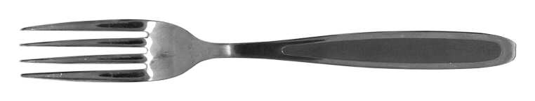 UNF192 (Stainless) Fork