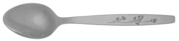 UNF205 (Stainless) Teaspoon