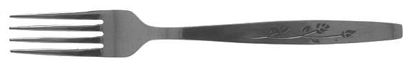 UNF205 (Stainless) Fork