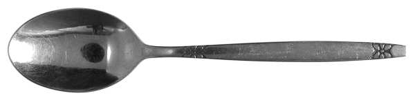 UNF206 (Stainless) Teaspoon