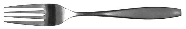 UNF210 (Stainless) Fork