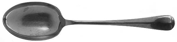 UNF221 (Stainless) Tablespoon (Serving Spoon)