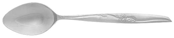 UNF227 (Stainless) Teaspoon