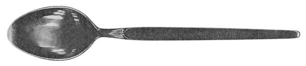 UNF228 (Stainless) Teaspoon
