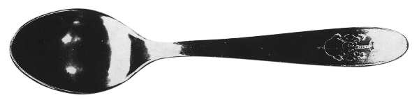 UNF257 (Stainless) Teaspoon