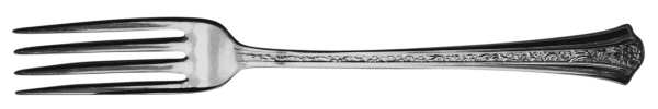 UNF261 (Stainless) Fork