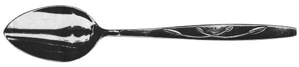 UNF275 (Stainless) Teaspoon