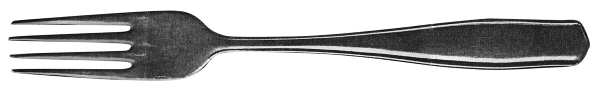 UNF280 (Stainless) Fork
