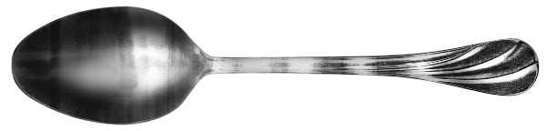 Lyf11 (Stainless) Teaspoon