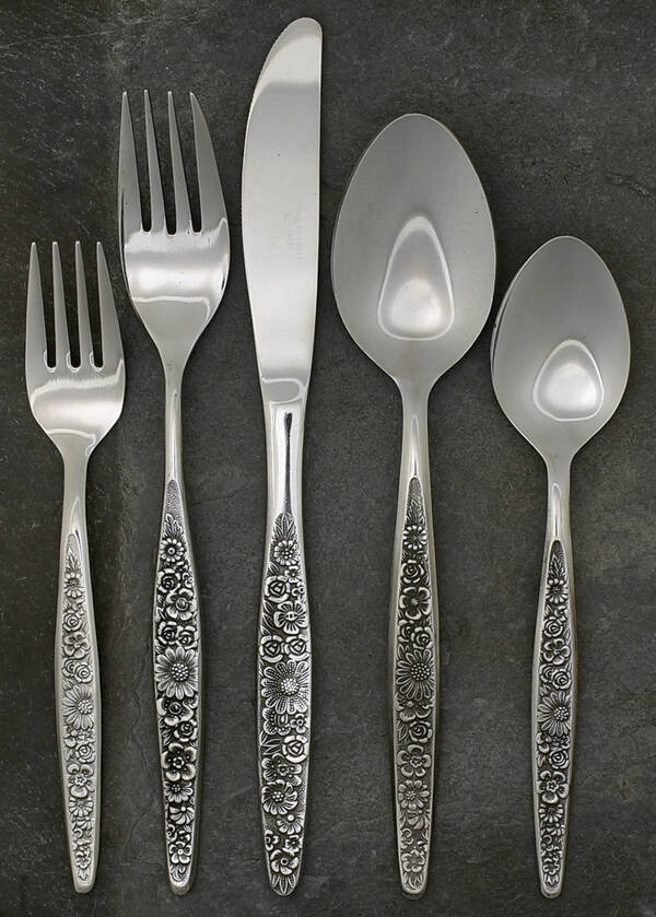 UNF293 (Stainless) 5 Piece Place Setting