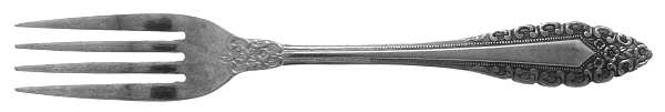 UNF310 (Stainless) Fork
