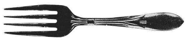 UNF316 (Stainless)` Individual Salad Fork