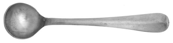 UNF318  (STAINLESS) Master Salt Spoon