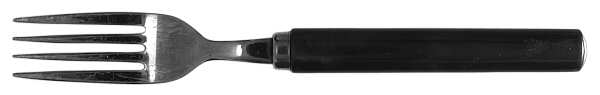UNF319 (Stainless) Fork