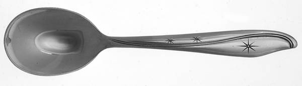 UTI53 (Stainless) Sugar Spoon
