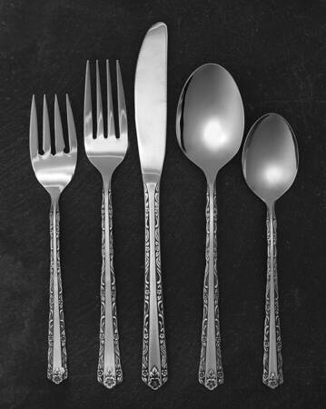 UNF363 (Stainless) 5 Piece Place Setting
