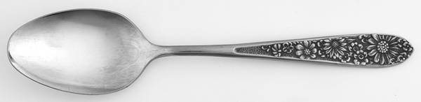 UNF48 (Stainless) Teaspoon