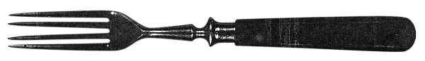 Wingen (Stainless) Fork