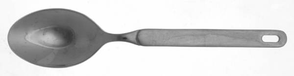 Winsor (Stainless) Teaspoon