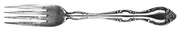 XXC (Stainless) Fork