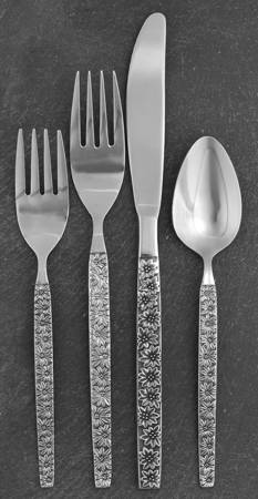 USI25 (STAINLESS) 4 Piece Place Setting
