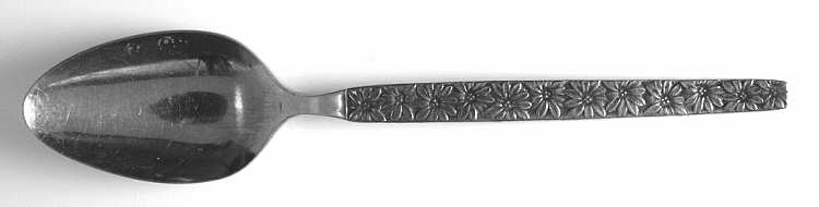 USI25 (STAINLESS) Teaspoon