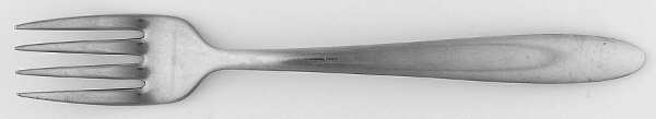 USI9 (STAINLESS) Individual Salad Fork
