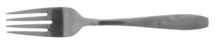 North Star (Stainless) Fork