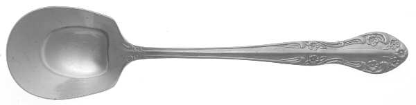 Saranac (Stainless) Sugar Spoon
