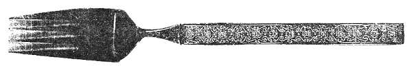 UNF452 (Stainless) Fork