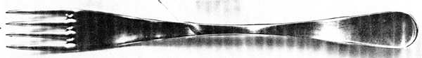 RW (Stainless) Fork