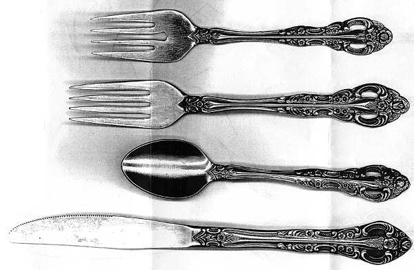 UNF484 (Stainless) Fork