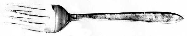 UNF499 (Stainless) Individual Salad Fork