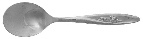 Evenflo (Stainless) Straight Handle Baby Spoon