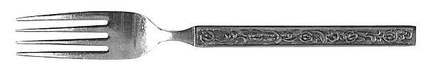 UNF540 (Stainless) Fork