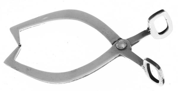 Sterling Flatware Sugar Nips
