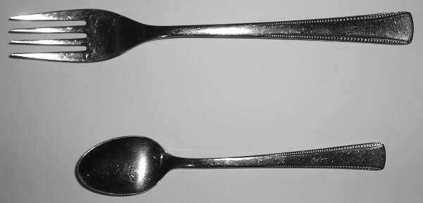 Odiso (Stainless) Fork