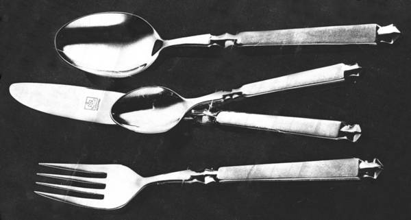 Fuego (Stainless) Teaspoon