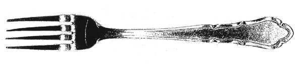 UNF647 (Stainless) Fork