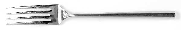 UNF665 (Stainless) Fork