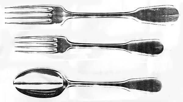 Charlotte (Stainless) Fork