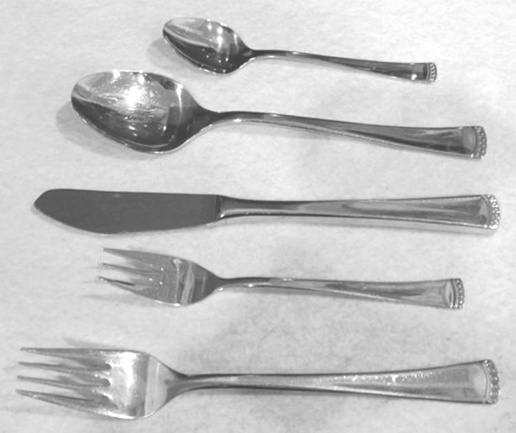 UNF1526 (Stainless) Fork