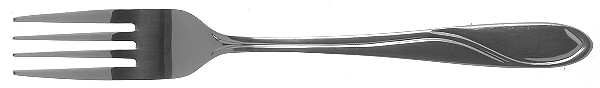 Skystream (Stainless) Fork