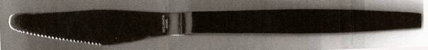 UNF834 (Stainless) Modern Solid Knife