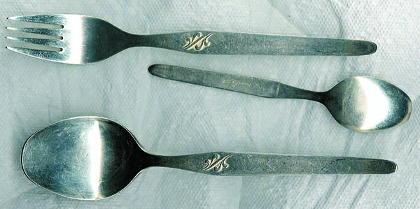 UNF1527 (Stainless) Fork