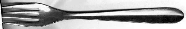 UNF880 (Stainless) Fork
