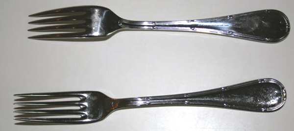 Monarch (Stainless) Fork